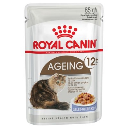 Picture of Royal Canin Wet Cat Ageing +12 Gravy 85g